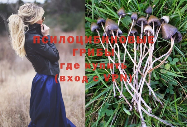 а пвп мука Володарск