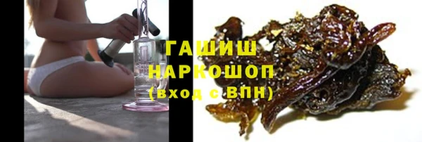 прущие грибы Волоколамск