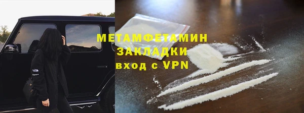 прущие грибы Волоколамск