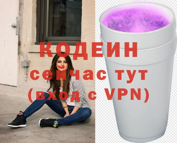 прущие грибы Волоколамск