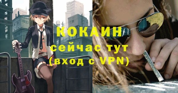 прущие грибы Волоколамск
