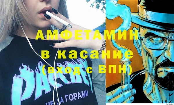 прущие грибы Волоколамск